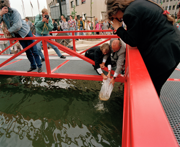 822508 Afbeelding van het loslaten van vissen in de waterpartij van het kunstwerk Het Verzonken Schip van Karin Daan in ...